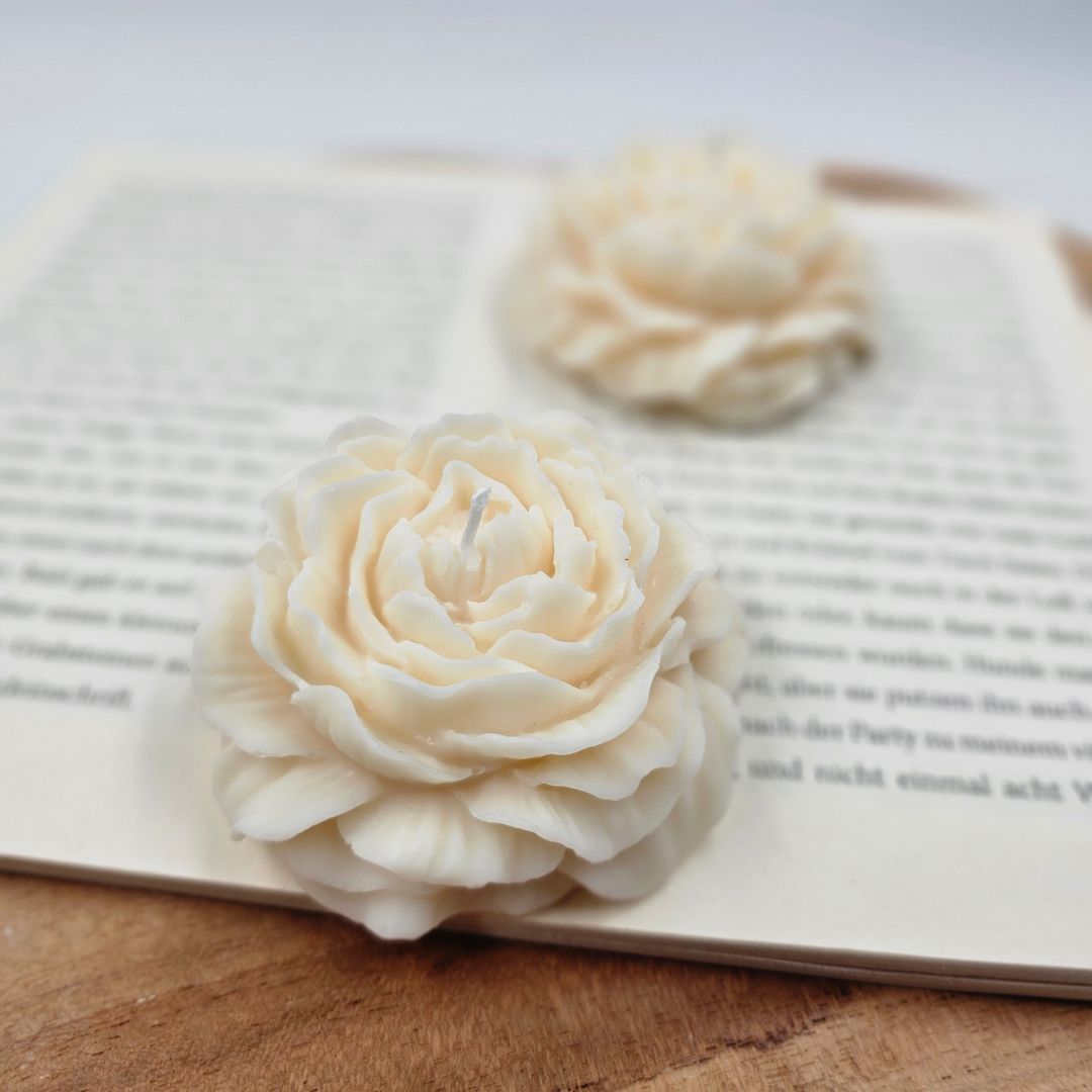 Peony Rose Kerze aus Rapswachs